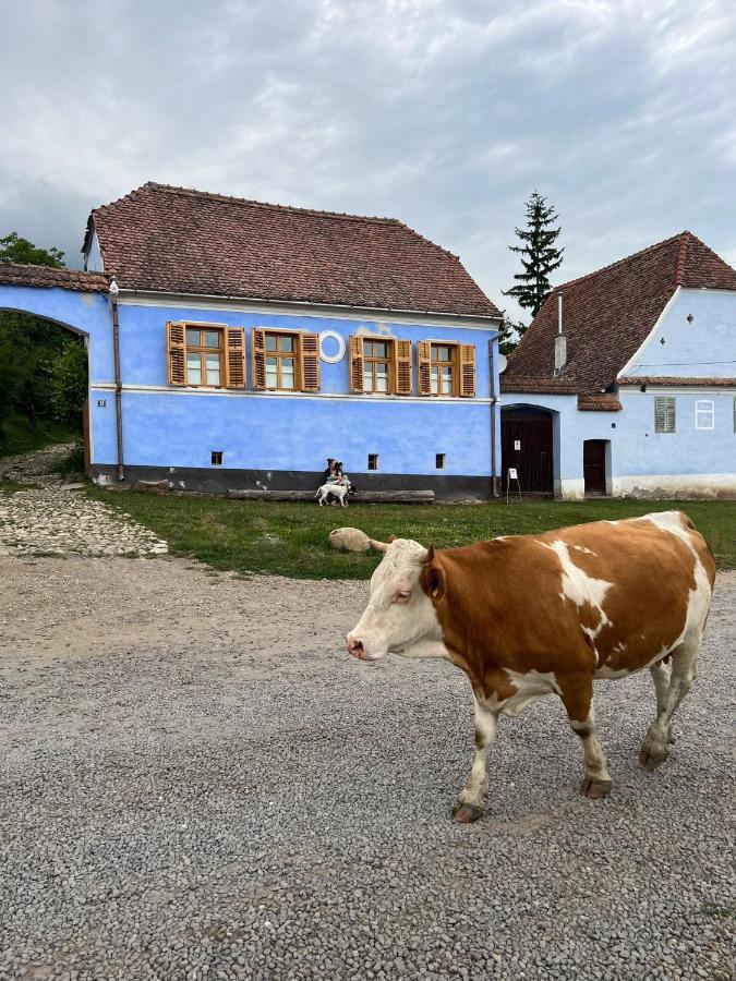 Hotel Viscri 32 - White Barn And Blue House Esterno foto